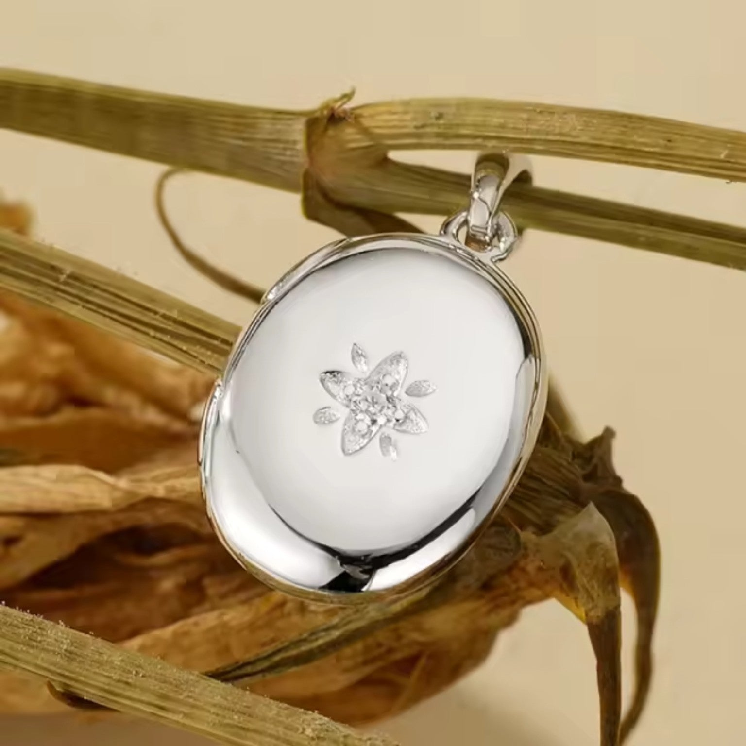Oval Locket & Chain