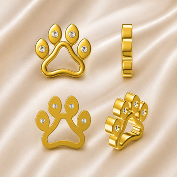 Paw Print Locket Charm