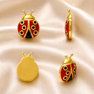 Lucky Ladybug Locket Charm